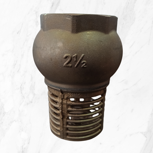 [302061] VALVULA DE RETENCION (BRONCE) CIM95 KSB  2 1/2´´ IN BSP HI-HI